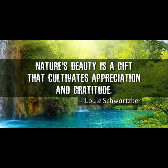 Meet your Posher, Shayla - Picture 9 of 16